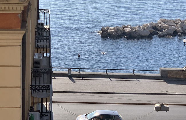 Di Palma Suite - Foto 59