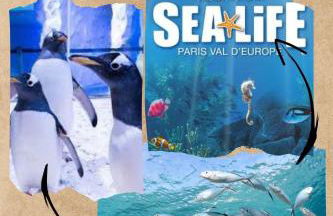 Appartement studio O fil de l'O à 12 kilomètres de Disneyland Paris - Foto 42