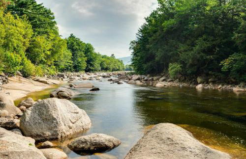 Riverfront Lincoln Condo with Patio and Pool Access! - Foto 36