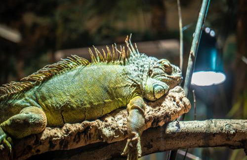 Appartements im Freizeitpark Weissenhäuser Strand - Foto 11