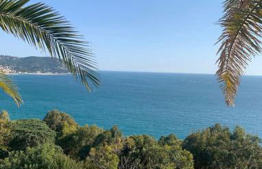 Bellissima Cervo - Foto 15