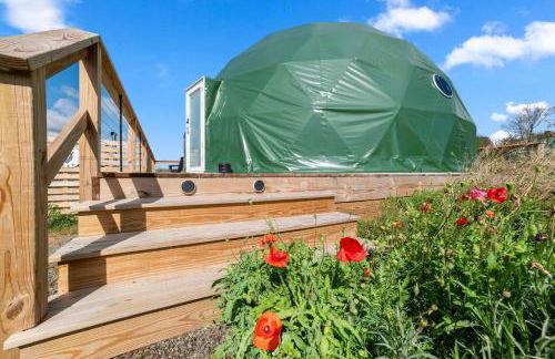 'The Bear Dome' with Barrel Hot Tub in Franklin - Foto 28