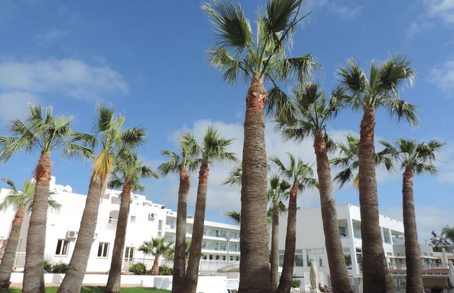 La Casa Di Napa - Foto 23