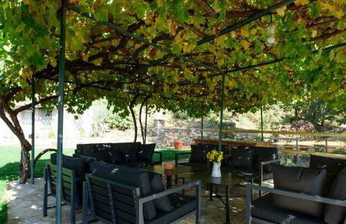 Abejas 1 de El Vergel de Chilla - Foto 56