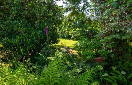 Bayvil Newport, Pembrokeshire - Foto 36