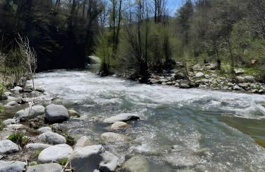 Cal Tatanet - Photo 25