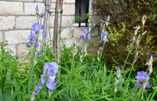 Le Val Clos, appartement dans une maison de maître 19e - Foto 33