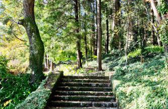 Quinta de Mourães - Casa do Xisto - Foto 14