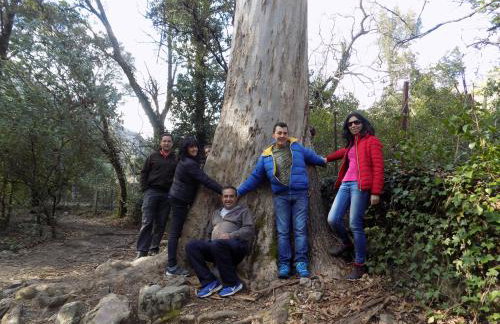 Casa Rural Generoso - Foto 78