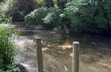 Otter Camp Private Riverside Glamping with Hot Tub - Foto 22