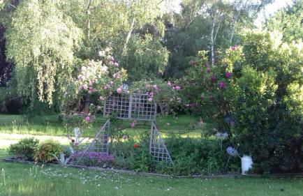 L'atypique du buisson de la gariole - Foto 69