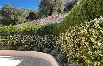 Villa Sania - Foto 6