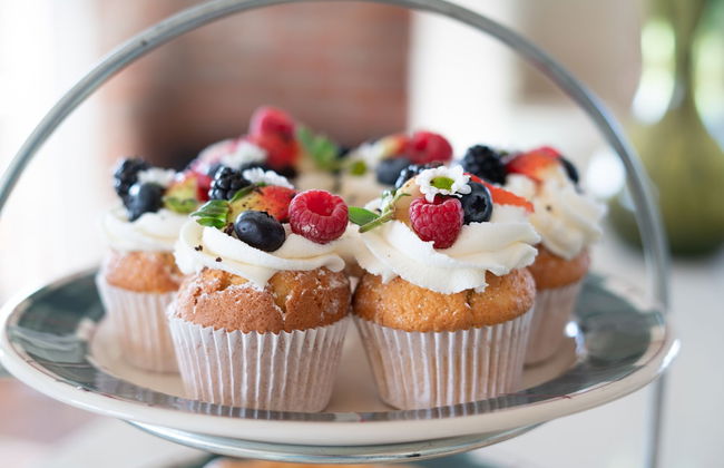 Luxury Castle Lodge - Photo 1