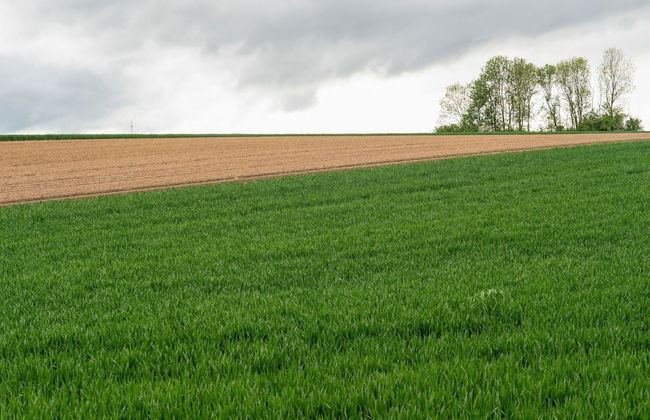Apartment in Ubachsberg Near Limburg Hills - Photo 36