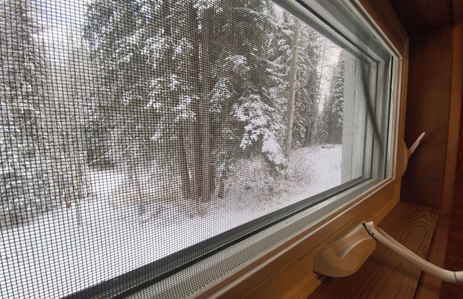 Rustic Beaverfoot Lodge Basic Cabin - Photo 25