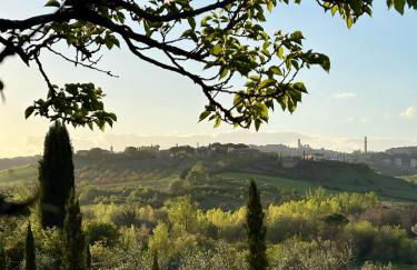 Agriturismo La Corte del Sole - Foto 39