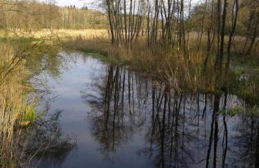 Cztery Pory Roku - Foto 57