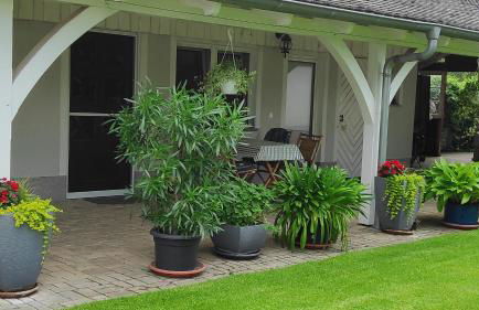 Ferienwohnung Zöllner - Foto 23