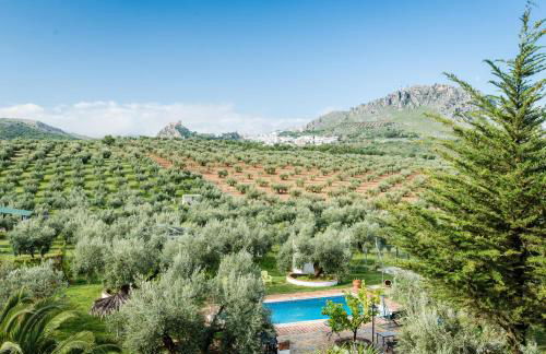 Agroturismo Ecologico el Cortijillo - Foto 7