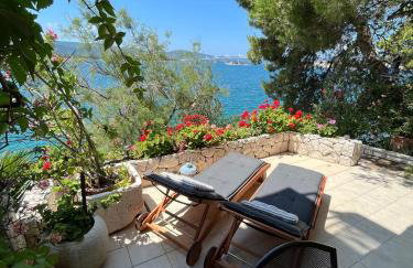 House Paula - Photo 16