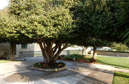 Quinta das Lavandeiras - Caldas de Vizela - Foto 23