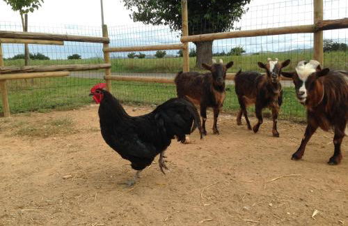 Cascina Folletto - Foto 71