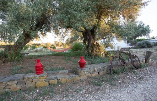 Herdade da Yucca - Retreat & Spa - Foto 52
