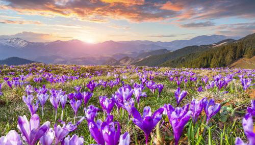Osada Kościelisko - Tatry na Wyciągnięcie Ręki - Foto 3