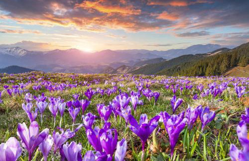 Osada Kościelisko - Tatry na Wyciągnięcie Ręki - Foto 4