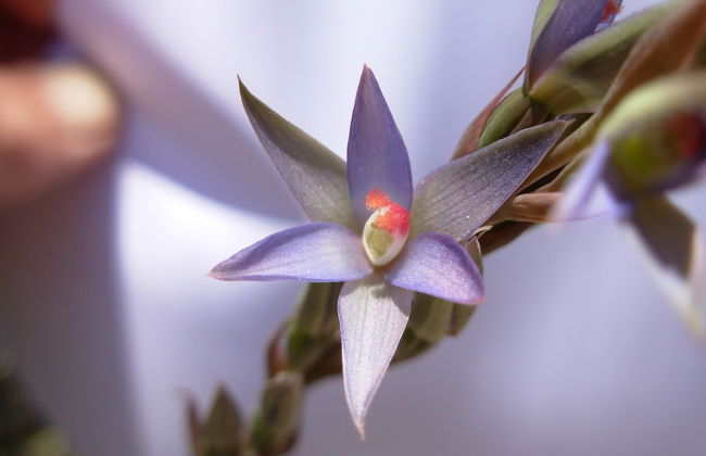 Wetland View Park - Photo 13