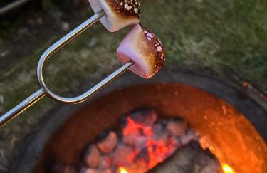 Willowbank shepherds hut - Foto 11