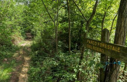 Villa La Quercia Country House - Foto 63