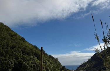 Cantinho da Inês Alojamento Local - Foto 23