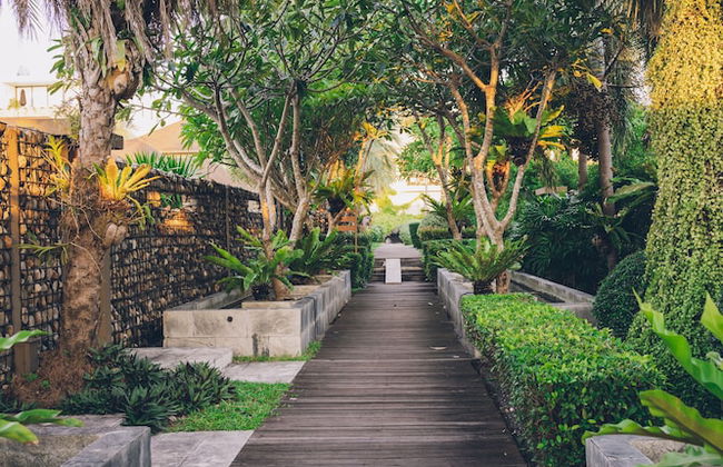 Allure Resort - Foto 47