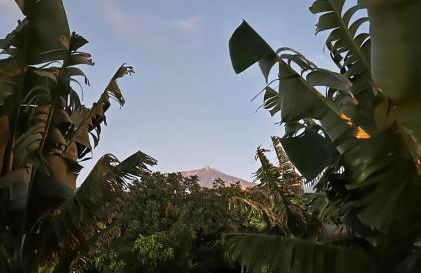 Chicho's Home - Foto 40