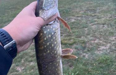 Chatka Baby Agi - Foto 50