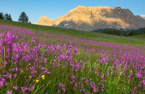 Apartment Ciasa Laoi - Foto 79