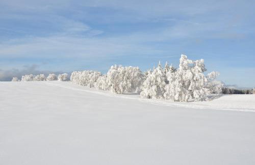 Sport Rees - Ferienwohnung Pia - Photo 2