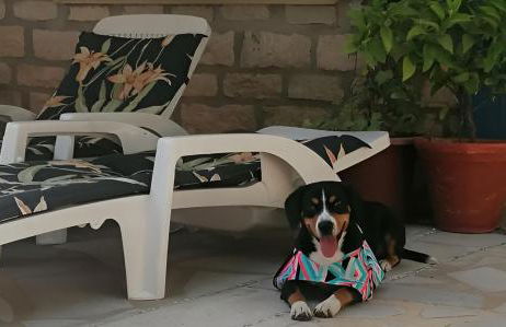 La Soleillade Laudun - Foto 38