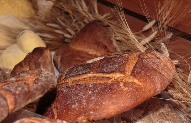 Guided Tour of Altamura - Photo 3