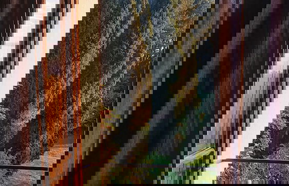 Il Giardino di Daniel Spoerri - Foto 15