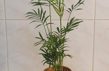 Przestronny, komfortowy dom - Foto 22