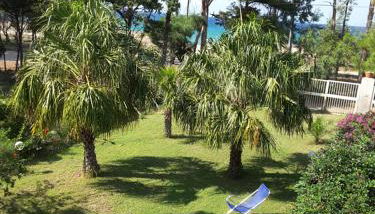 Villa Calipso - Foto 5, Garden