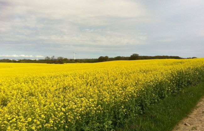 2 Rena Modern Retreat - Foto 11