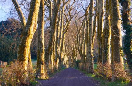 Quinta da Espadana - Photo 56