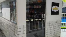 Apartamento Parque Verde - Foto 5