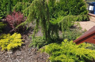 Dom wypoczynkowy Sosenka - Foto 51