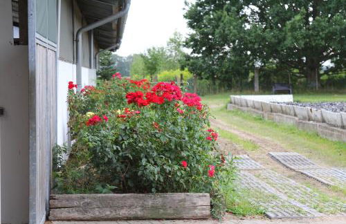 Ferienwohnungen In den Wiesen Oranienburg - Foto 36