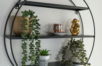 1 Bedroom apartment Kentish town - Foto 15