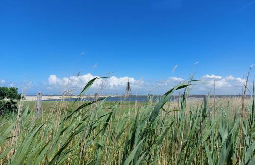 Ferienwohnungen Auf der Düne - Foto 67